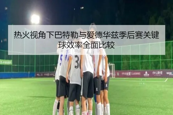 热火视角下巴特勒与爱德华兹季后赛关键球效率全面比较